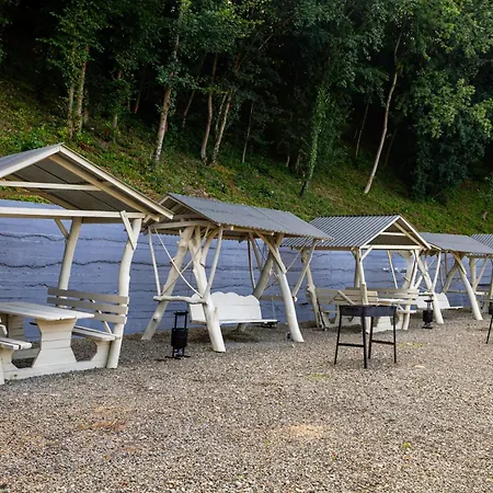 Oasis New 2025 * سولوتفينو