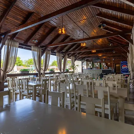 Oasis New 2025 * Solotvyno